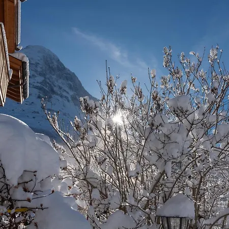 Chalet Alia And Apartments-grindelwald By Swiss *