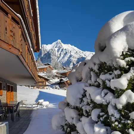 木屋 Alia And Apartments-grindelwald By Swiss *