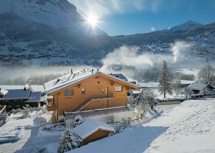 Domek alpejski Alia And Apartments-grindelwald By Swiss