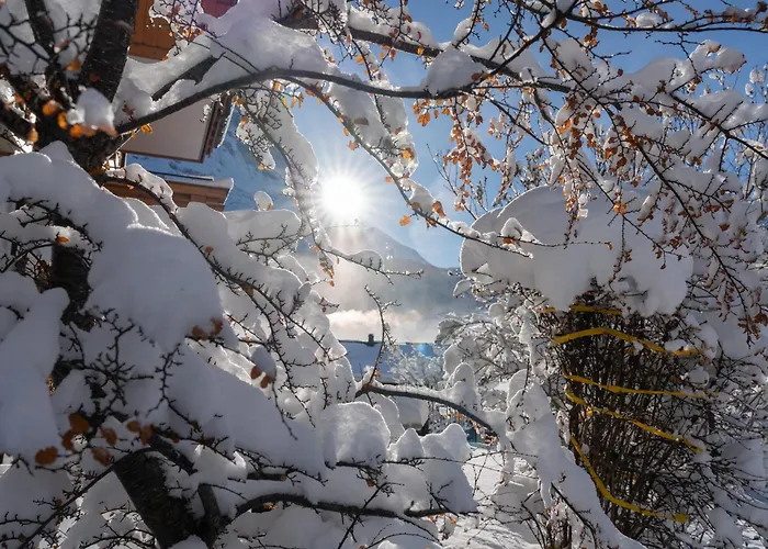 Alia And Apartments-grindelwald By Swiss * Grindelwald