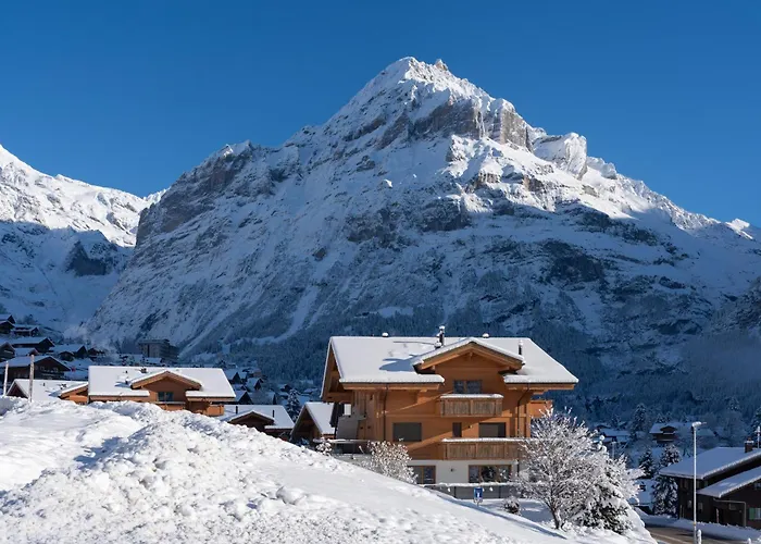Chalet Alia And Apartments-grindelwald By Swiss