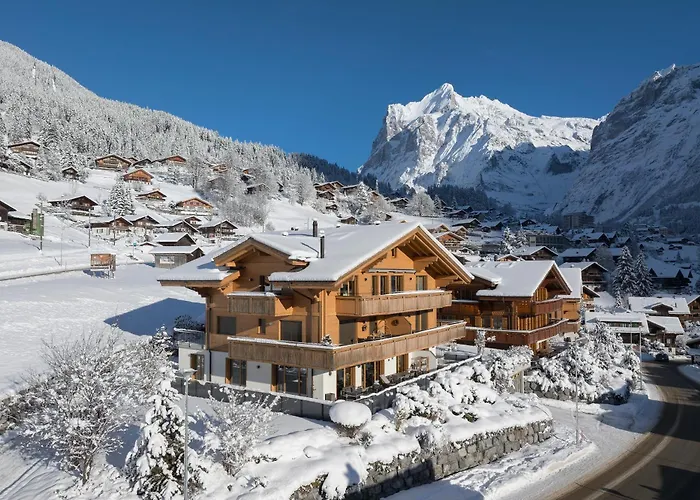 Alia And Apartments-grindelwald By Swiss Domek alpejski Grindelwald