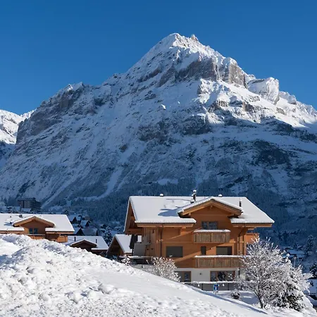 شاليه Alia And Apartments-grindelwald By Swiss