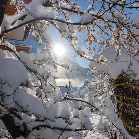 Alia And Apartments-grindelwald By Swiss * Grindelwald