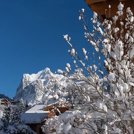 Chalet Alia And Apartments-grindelwald By Swiss Grindelwald