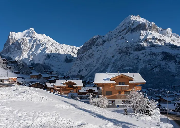 Alia And Apartments-grindelwald By Swiss Chalet