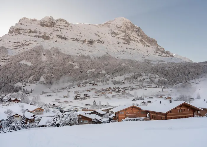 Alia And Apartments-grindelwald By Swiss Chalet Grindelwald